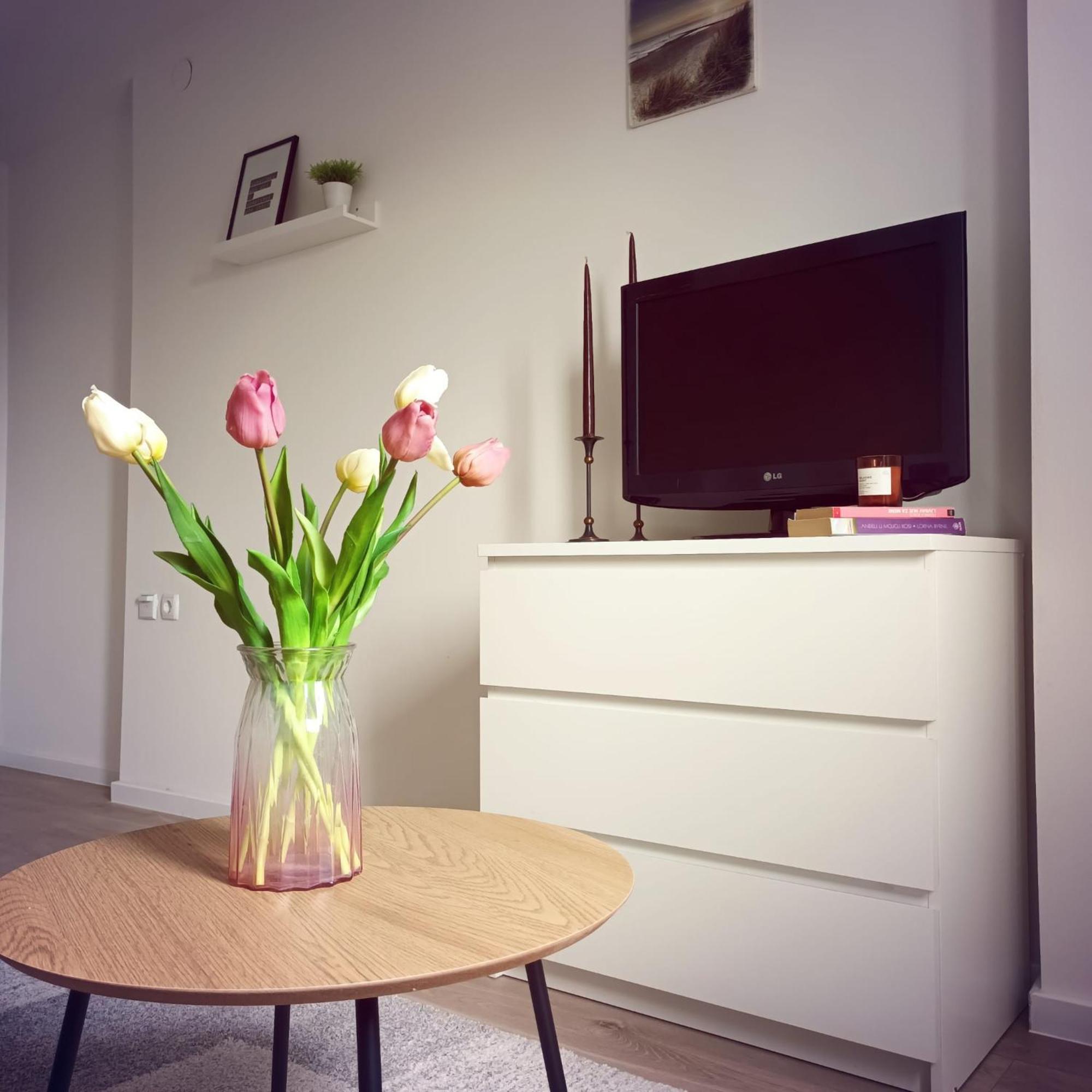 Modern Studio Near City Center ザグレブ エクステリア 写真